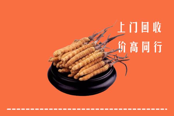 收购行情：重庆市潼南冬虫夏草回收多少钱每克